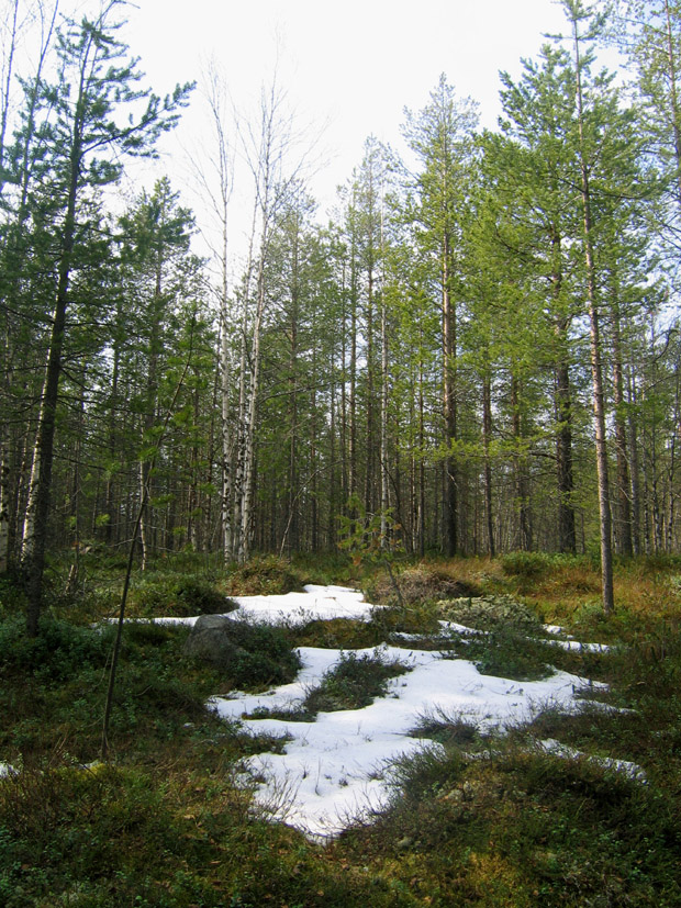 Весенние перемены