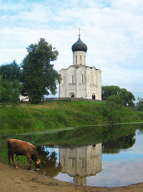 Священное животное на водопое)))