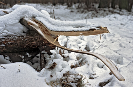 "Улыбочку..."