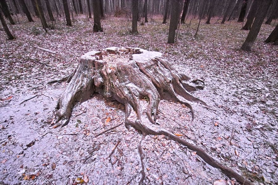 Средь &quot;молодежи&quot;