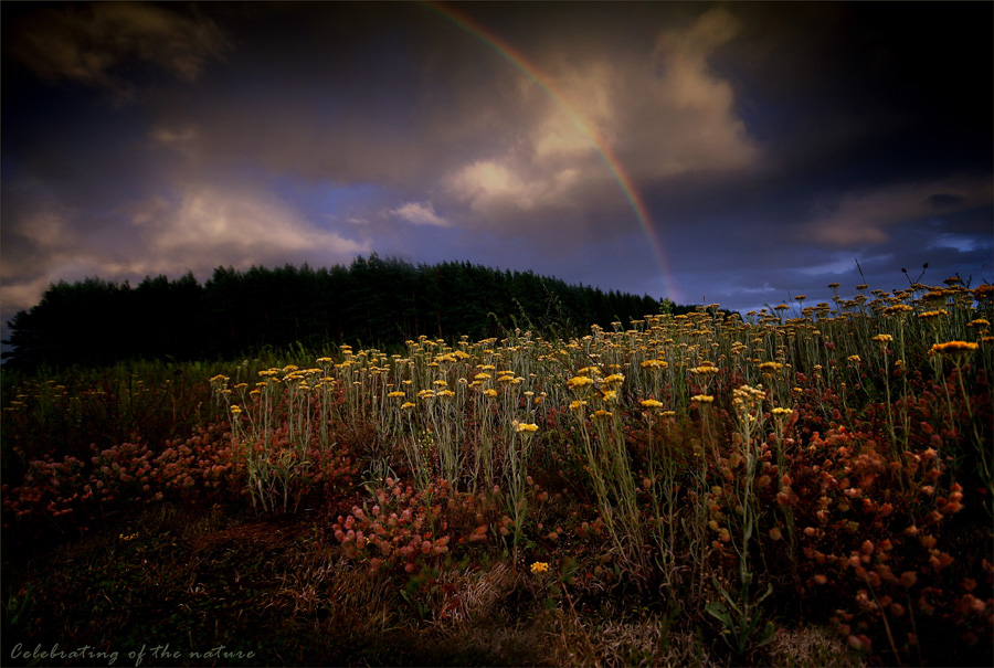 Celebrating of the nature