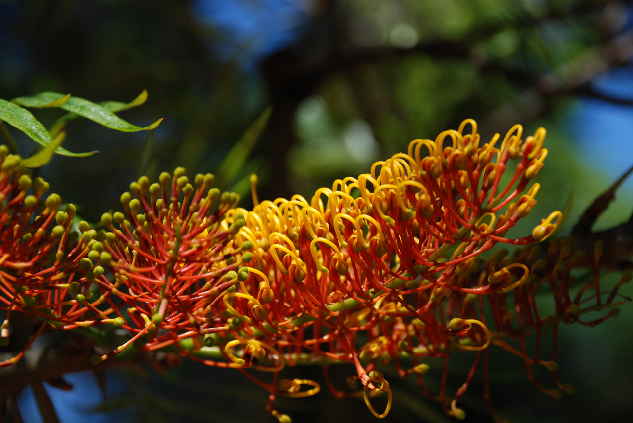 Jardi Botanic Marimurtra