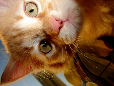 Заглянул в ДУШУ...