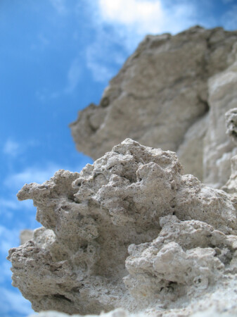 Морская пена в камне.