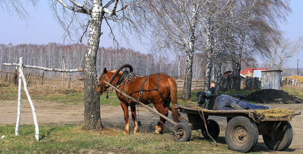 Деревенские лентяи!