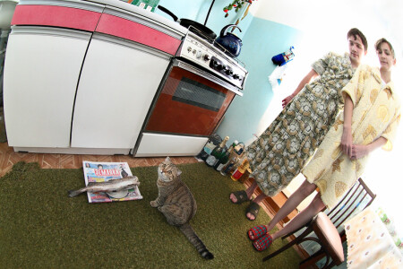 утро маленькой кошечки