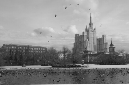 Большой пруд в Московском зоопарке