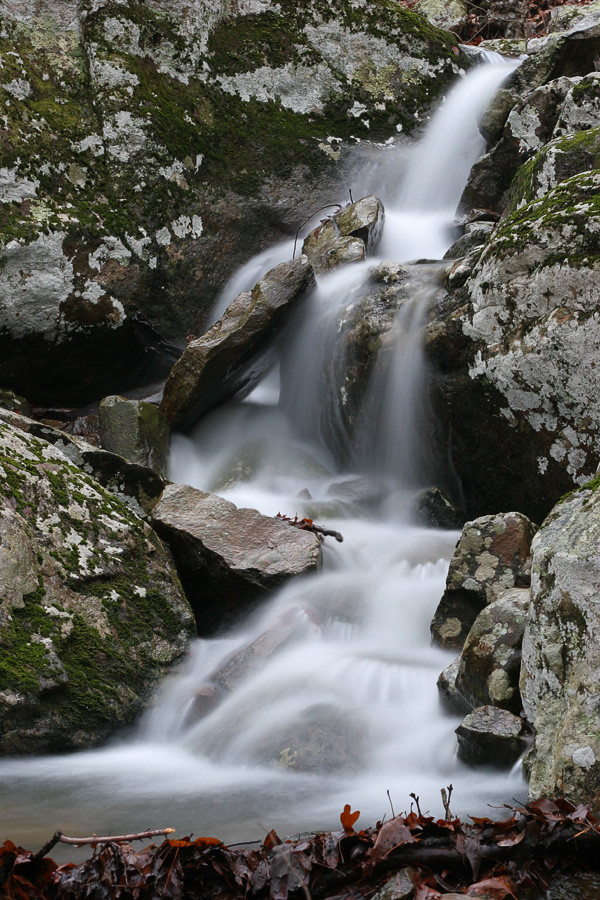 Spring Runoff