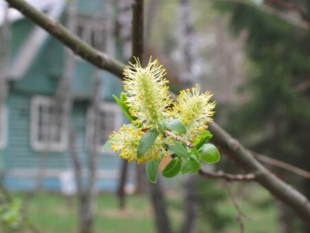  С НАСТУПАЮЩИМ !