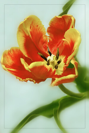 Хорошее настроение.