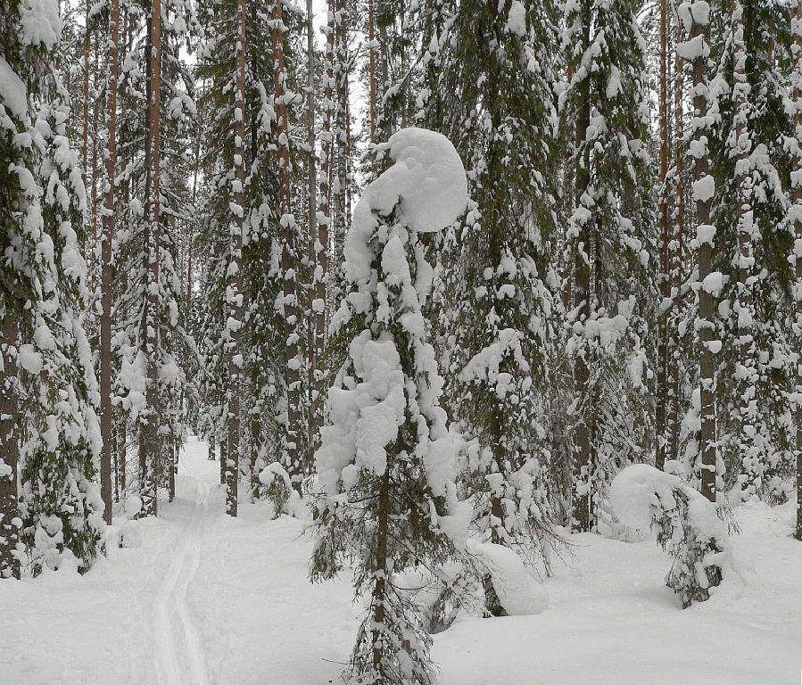 Ну ма-ам, ну пусти покататься!