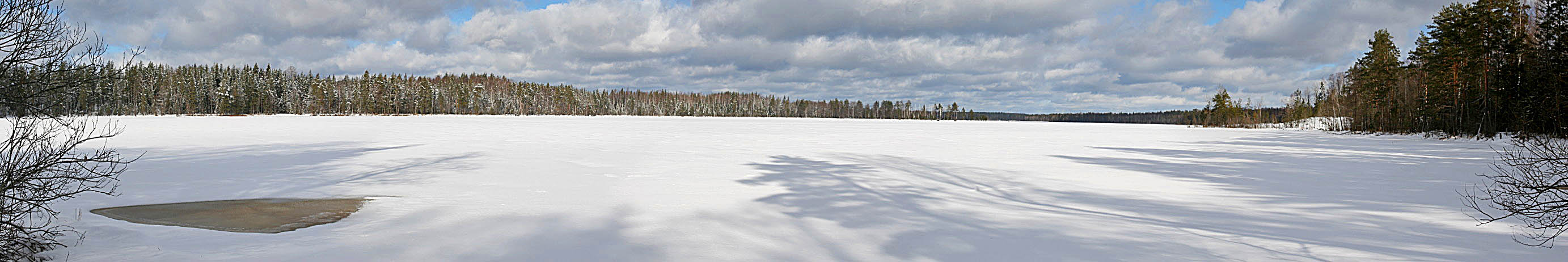 Лесное озеро (панорама)