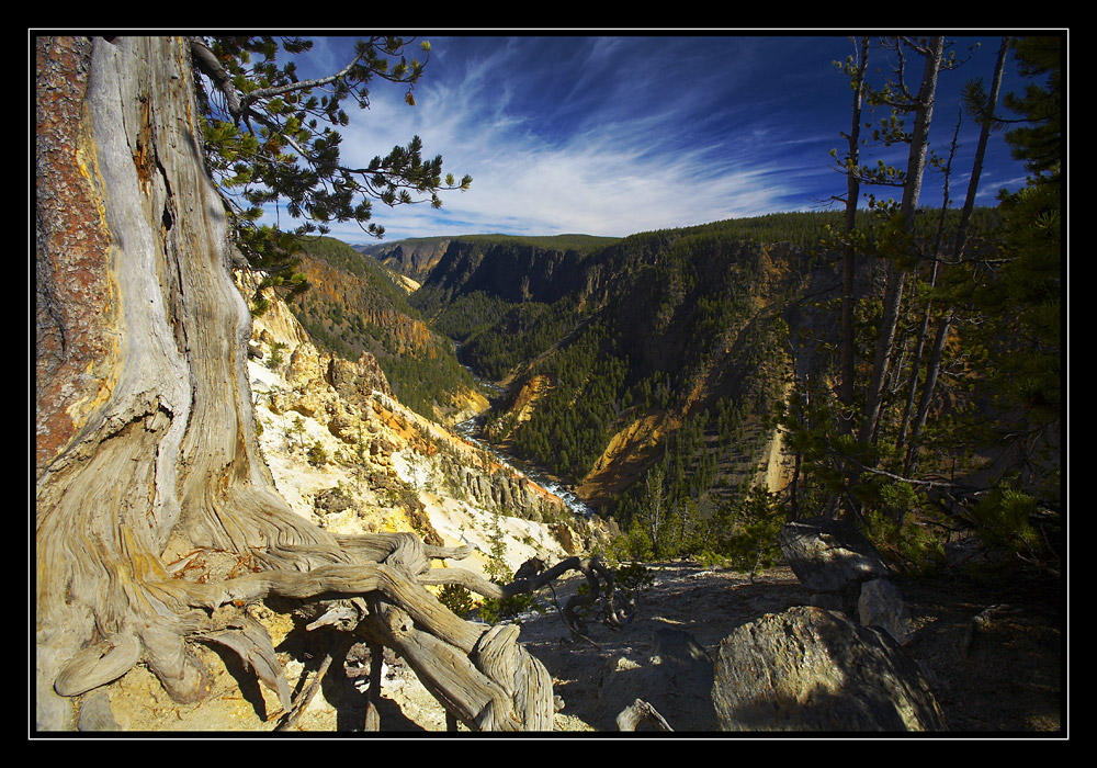 Grand Canyon of Yellowstone.