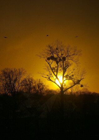 Последний рассвет ...