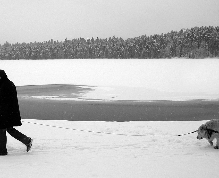 повод