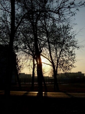 городской пейзаж