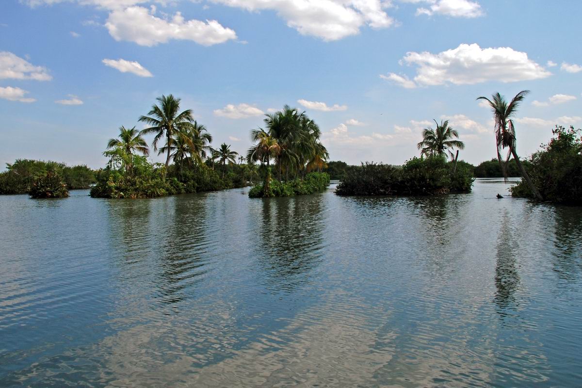 Kerala Backwaters.