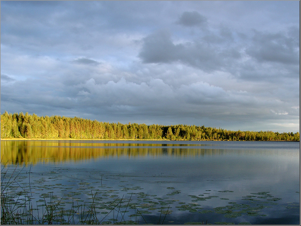 Осень