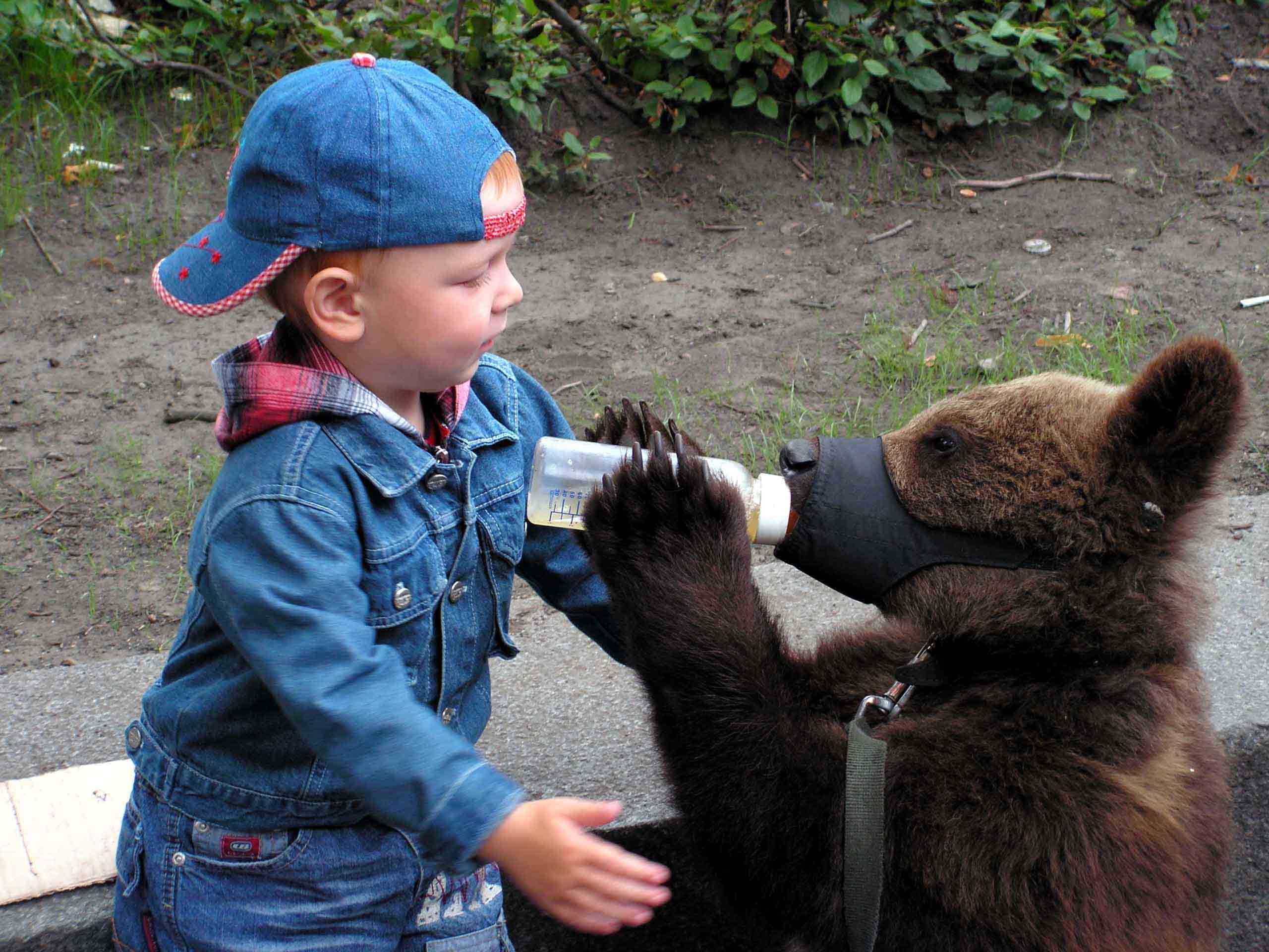 Baby&amp;Bear