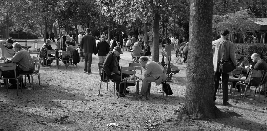 The Jardin du Luxembourg