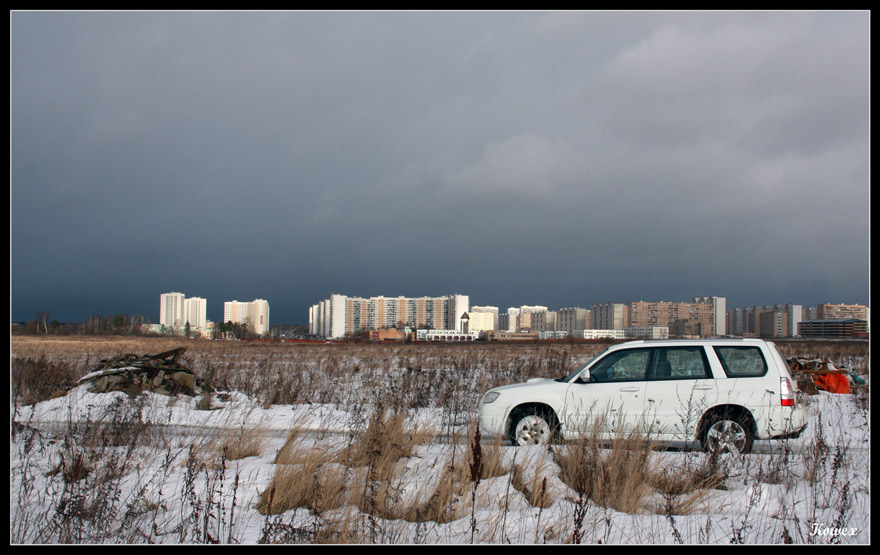 Городской житель