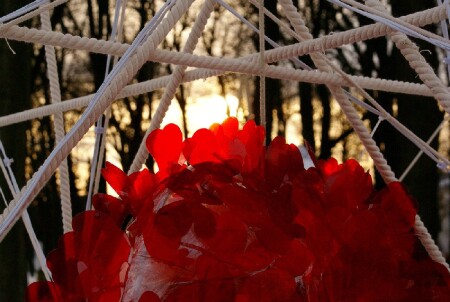 Наши сердца