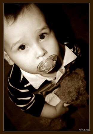 teddy-bear