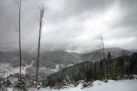 В краю снега и ветров