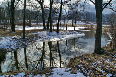 Весенние отражения