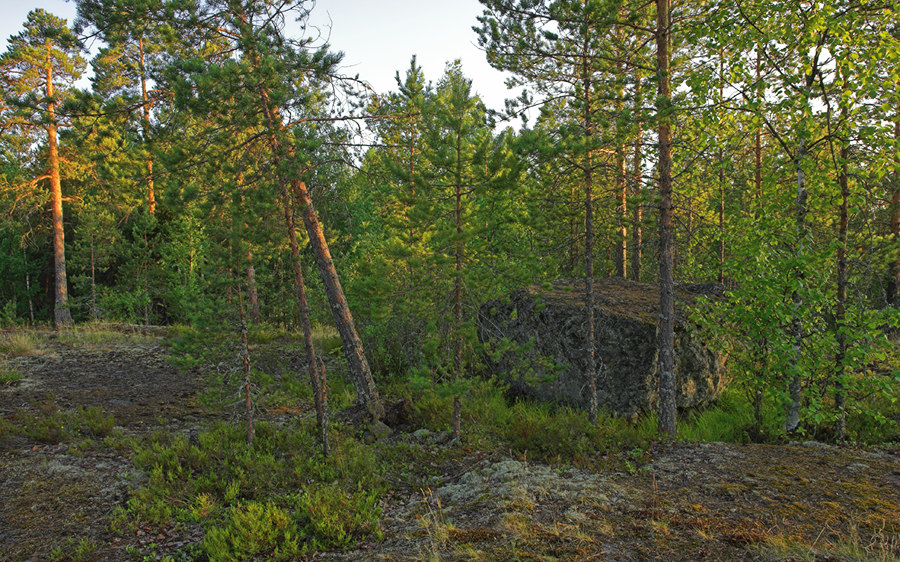 Карелия, закат на скале