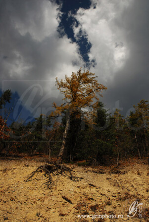 &amp;quot;Непокорный&amp;quot;