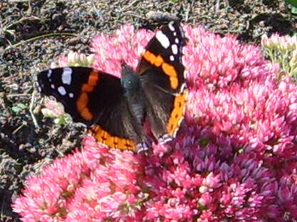  &amp;quot;И это все мое!&amp;quot;