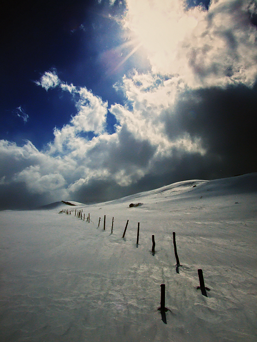 White Desert