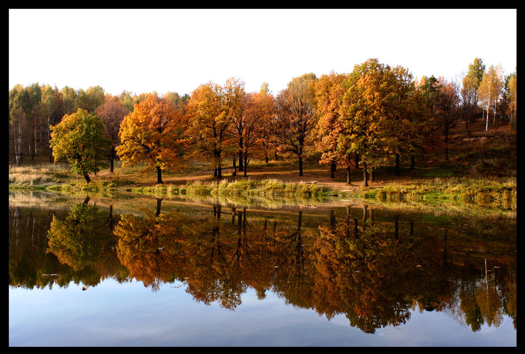 Красногорская осень