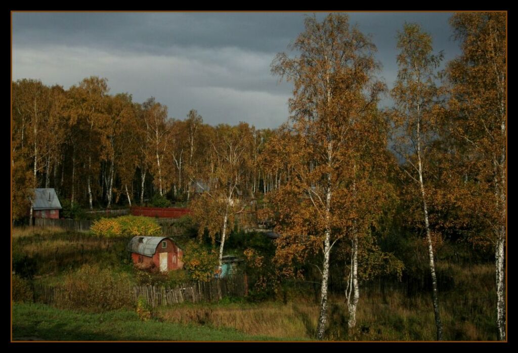 Сады в березах