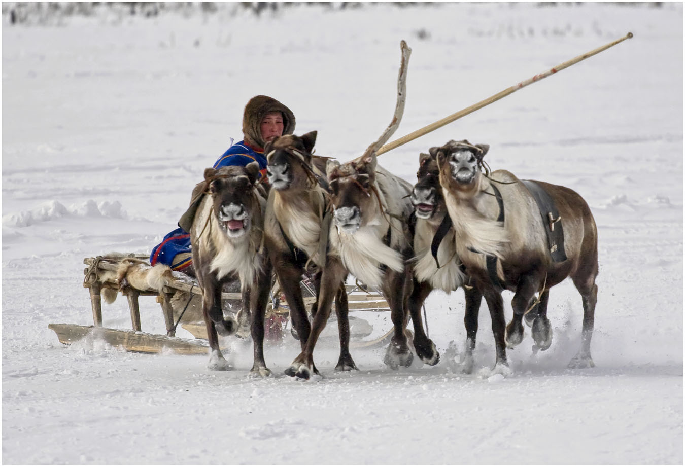 Занесло 