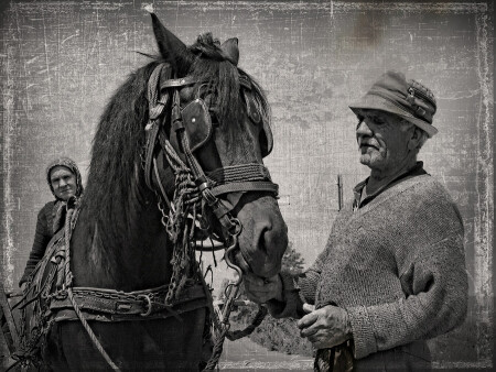 Идём домой
