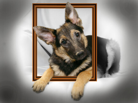 -&amp;quot;...это я, ....вот!&amp;quot;