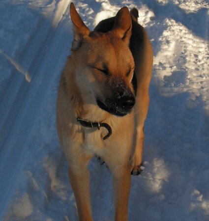 ...уберите камеру!!!