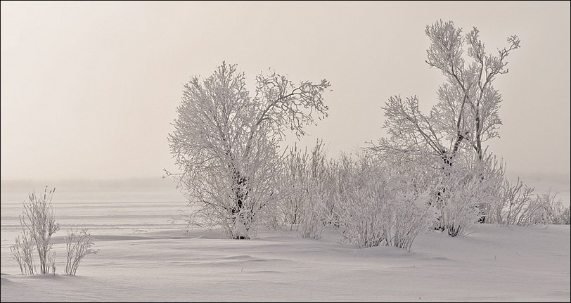 пейзаж в красках зимы