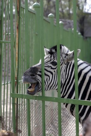 Закурить не найдется?