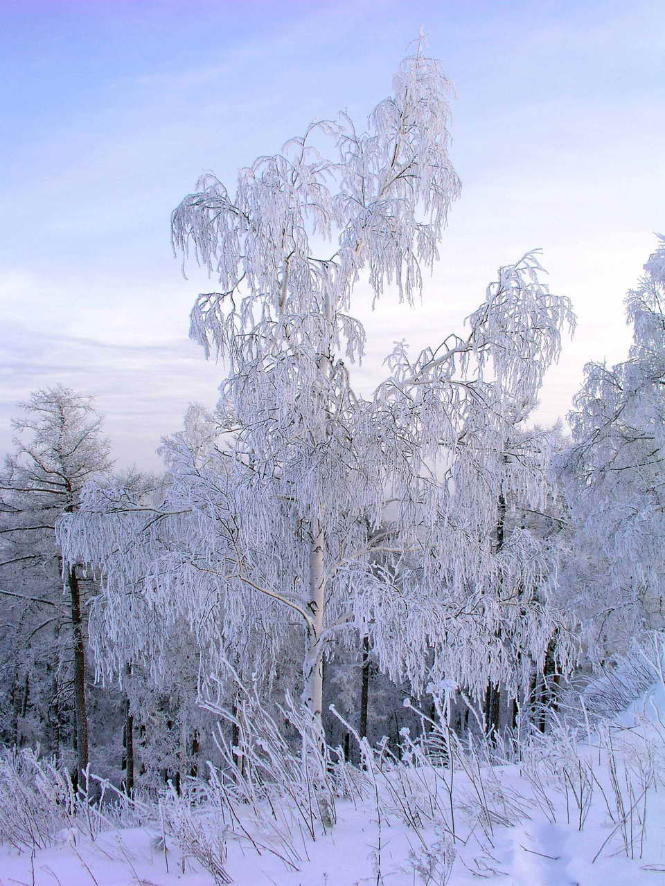 Замерзла...