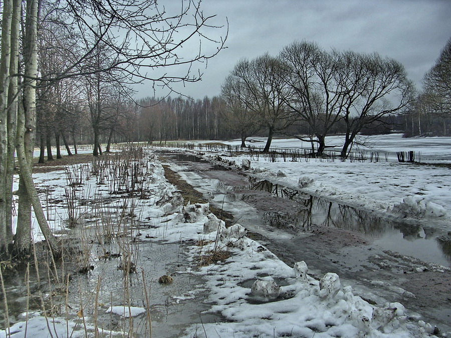 Весенний разъезд