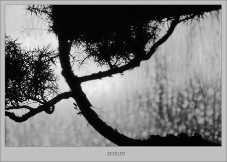 Черно-белое настроение