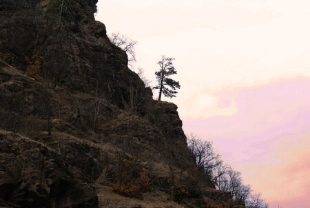 Рестайлинг &amp;quot;Одинокая сосна&amp;quot;