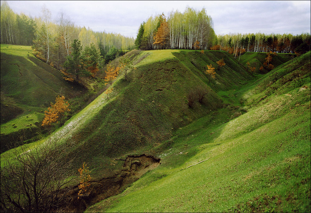 пейзаж