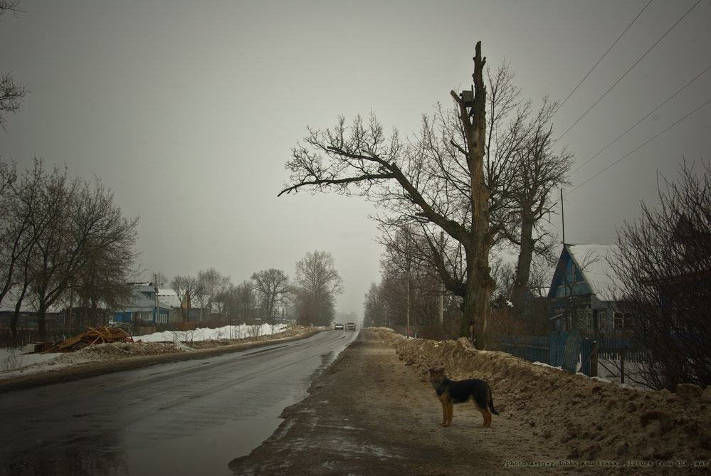 ...чужой... (по дороге в Загорск)