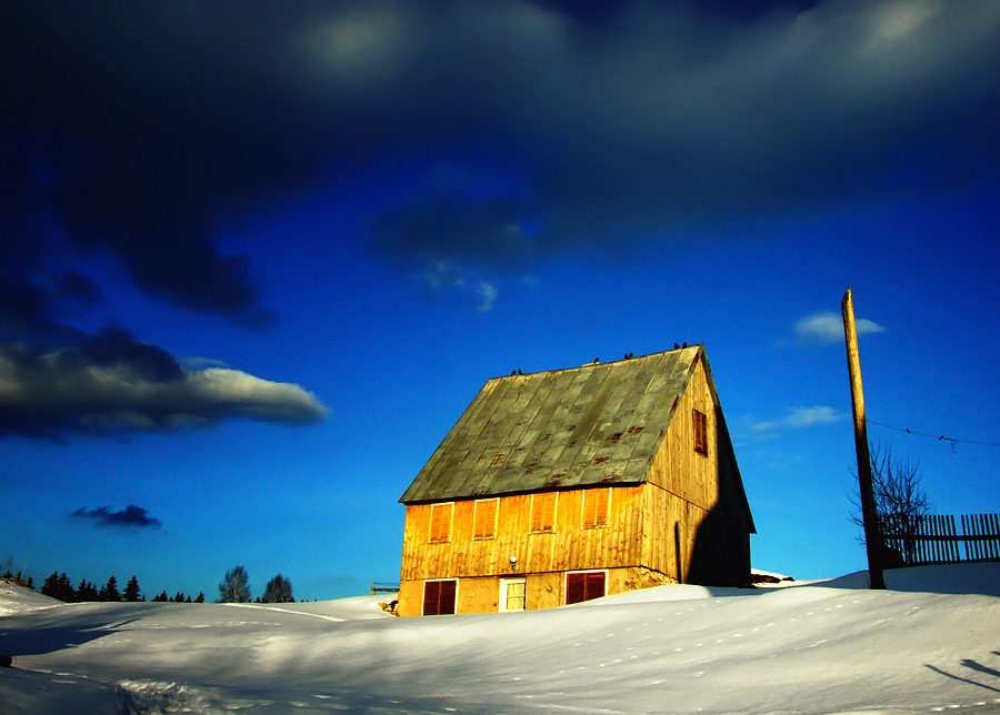 Yellow House