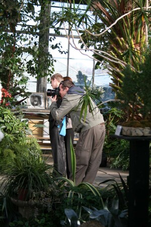 Выражение лица (фотограф в работе)