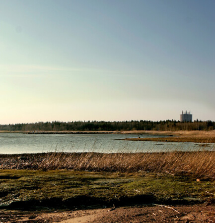 Финский залив.